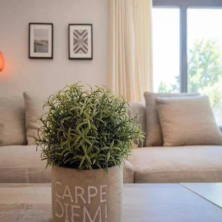 Maxim App 2 アパート